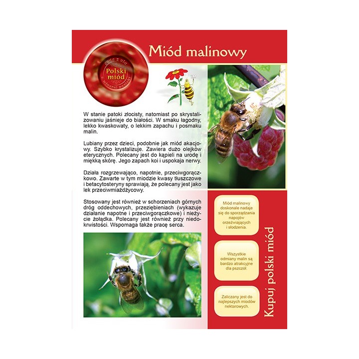 Broszurka informacyjna o miodzie - miód malinowy (20szt) - U13