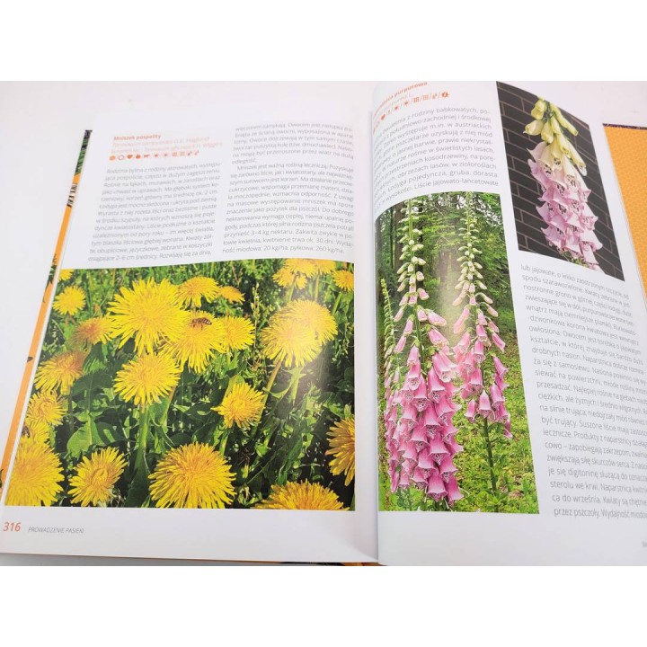 Atlas roślin miododajnych (Marek Pogorzelec) - K268