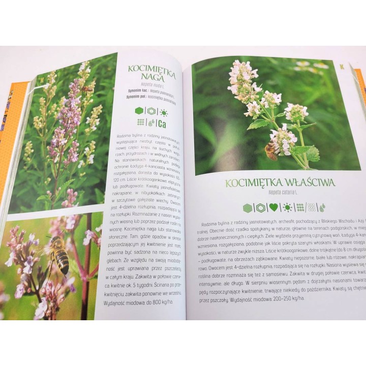 Atlas roślin miododajnych (Marek Pogorzelec) - K268