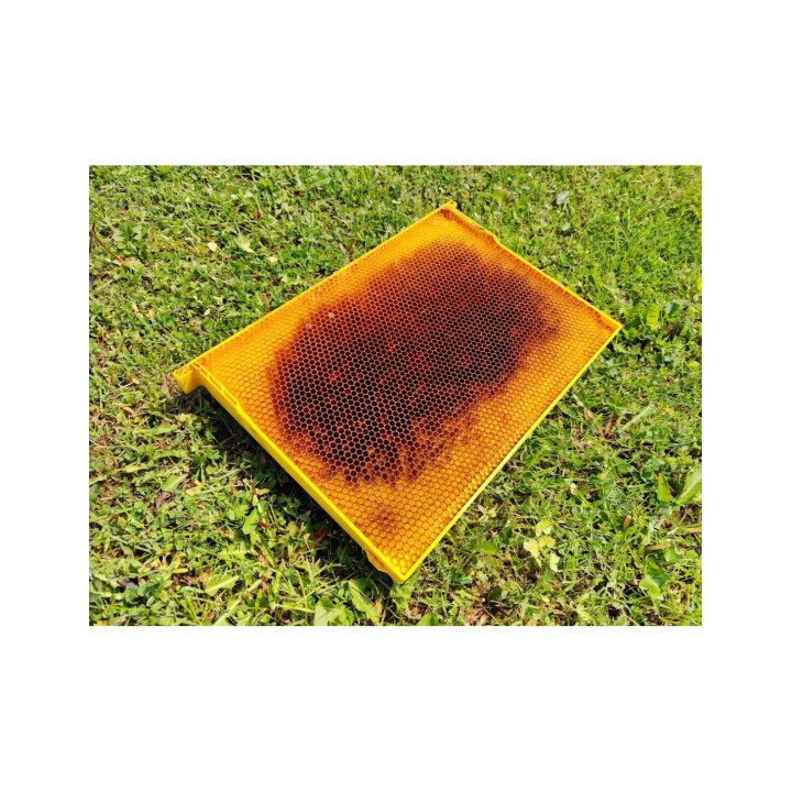 Ramka Wielkopolska hoffmanowska z komórką 5.1,plastikowa – monolit - 9092