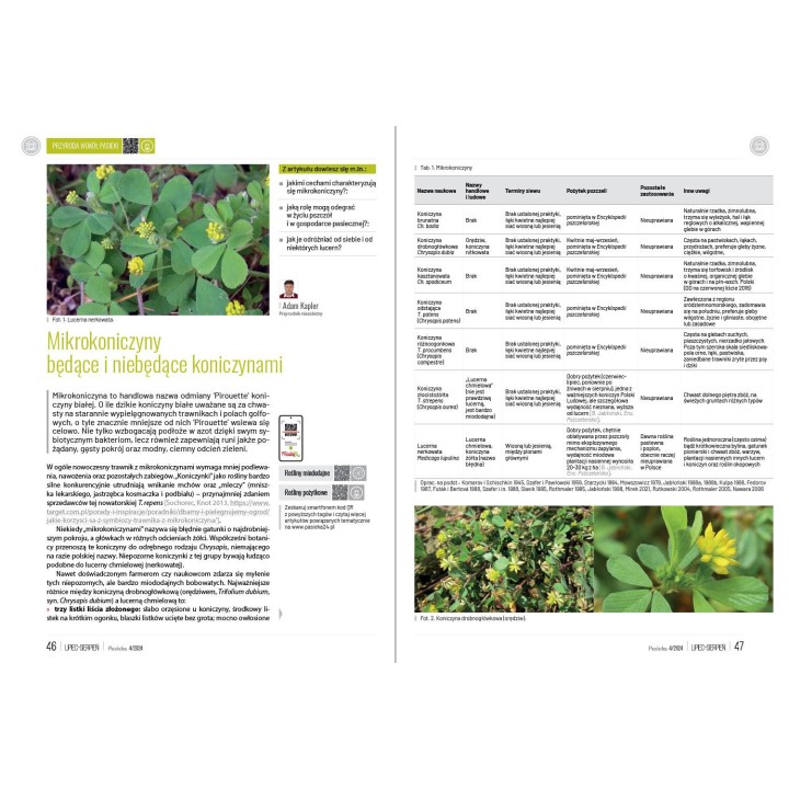 Pasieka nr 4/2024 (PAS126)