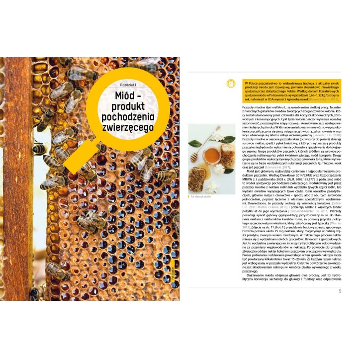 Książka "Miody pod lupą" (Marta Burzyńska) - K262