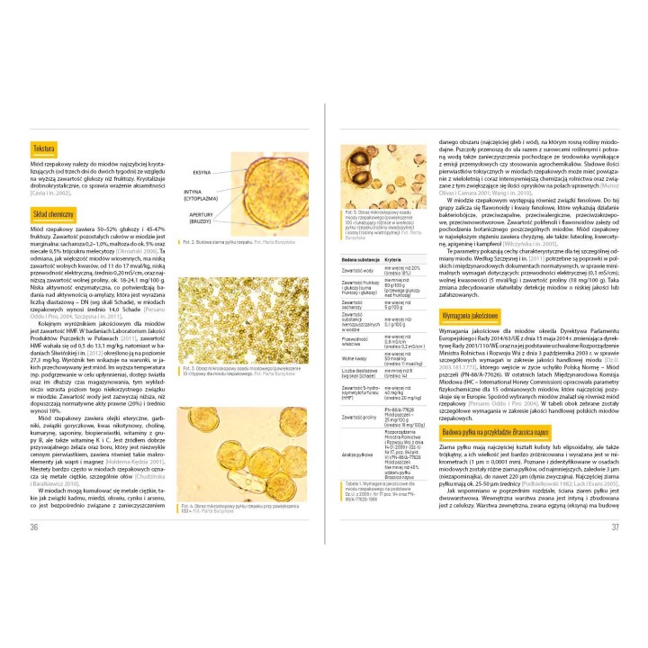Książka "Miody pod lupą" (Marta Burzyńska) - K262