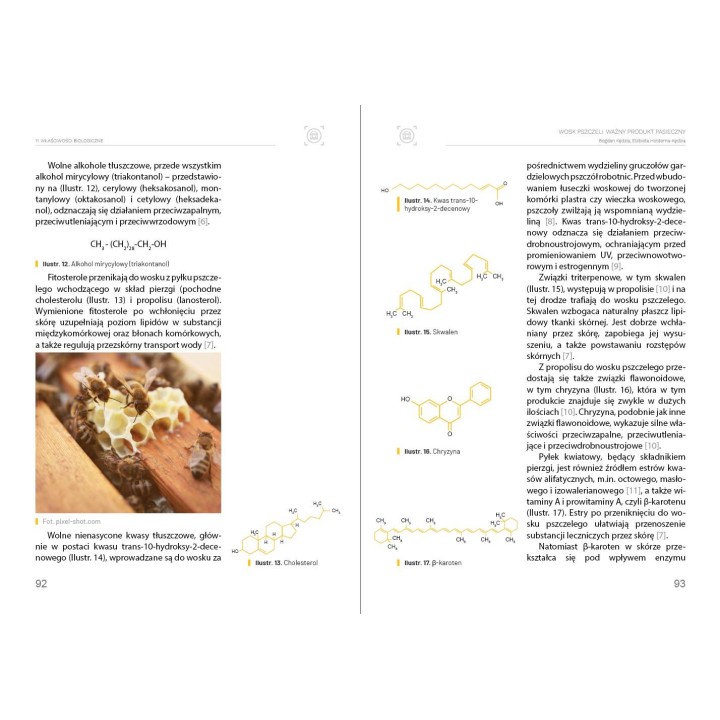 Książka "Wosk pszczeli" (Bogdan Kędzia, Elżbieta Hołderna-Kędzia) - K263