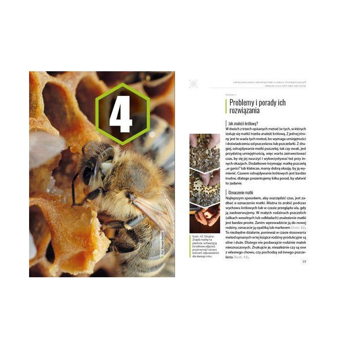 Książka "Letnie przerywanie czerwienia matki w walce z chorobami pszczół" - K271