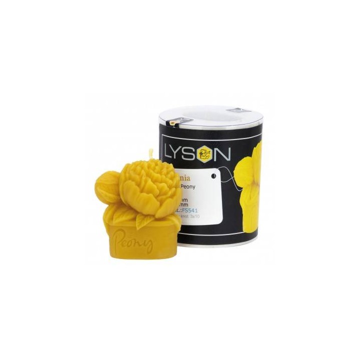 Silikonowa forma na świece - Piwonia - wzór FS541