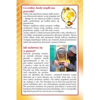 Ulotki informacyjne "W Pasiece" (20szt) -  U65