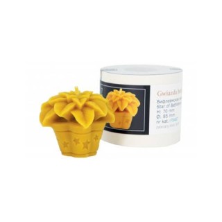 Silikonowa forma na świece - Gwiazda betlejemska - wzór FS487