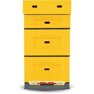 Ul wielkopolski OPTIMA, żółty, nieskręcony