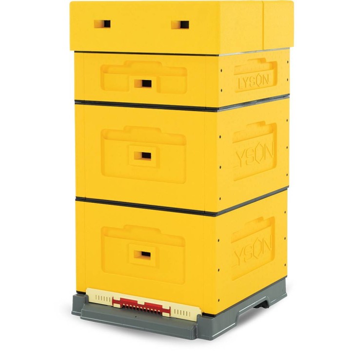 Ul wielkopolski OPTIMA, żółty, nieskręcony