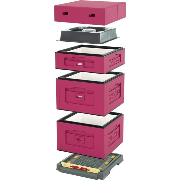 Ul wielkopolski OPTIMA, ciemnoróżowy, nieskręcony