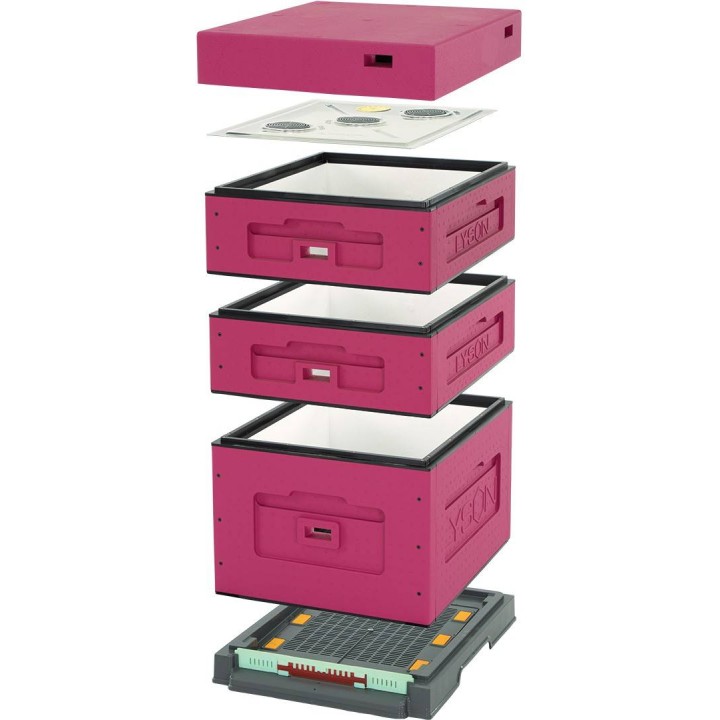 UL Dadant OPTIMA, ciemnoróżowy, nieskręcony