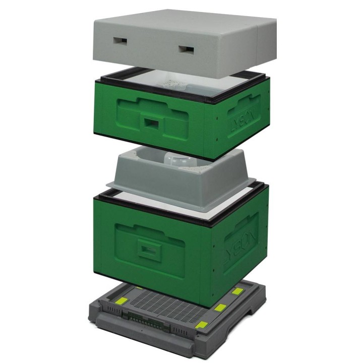 Ul wielkopolski OPTIMA, malowany, nieskręcony (ciemnozielony)