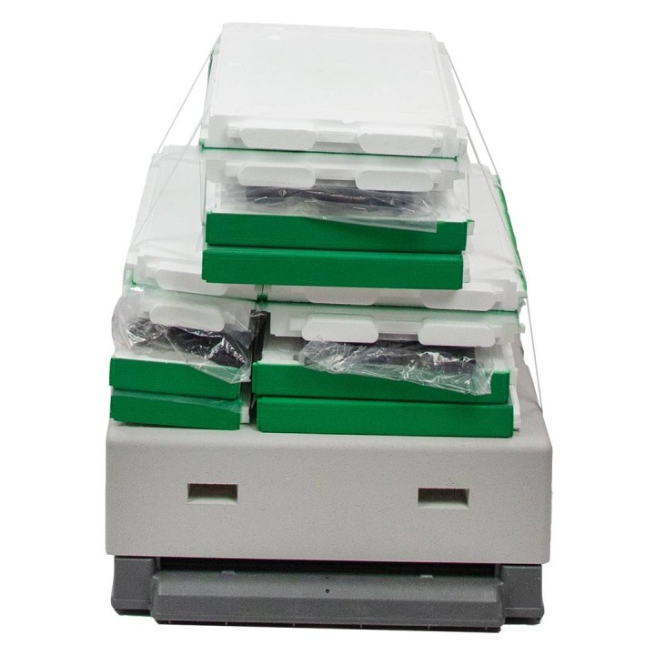 Ul wielkopolski OPTIMA, malowany, nieskręcony (ciemnozielony)