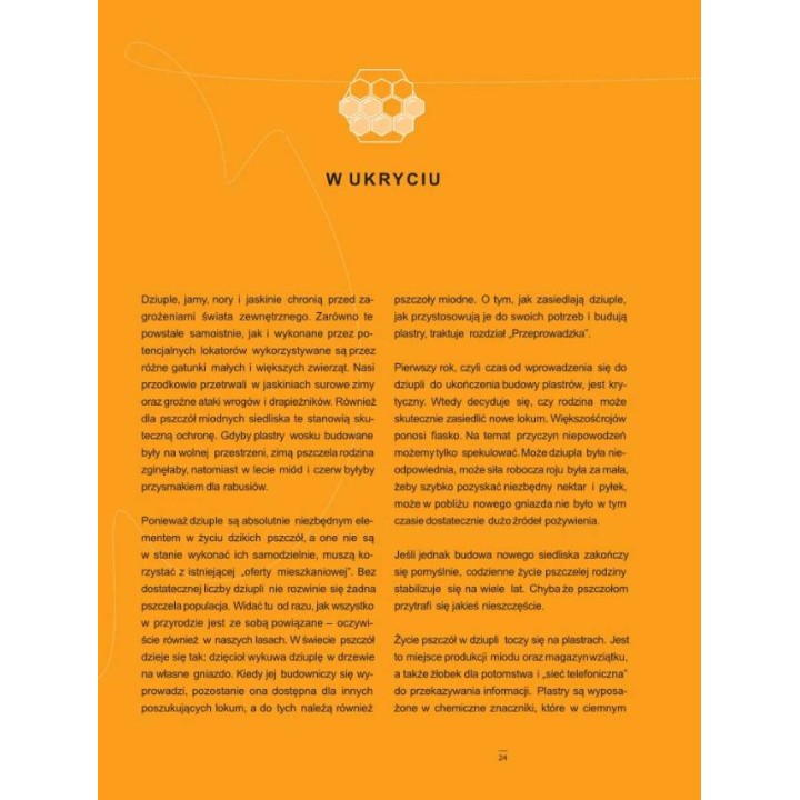 Książka "Pszczoły miodne. Tajemniczy mieszkańcy lasu" (Ingo Arndt - Jürgen Tautz) - K275