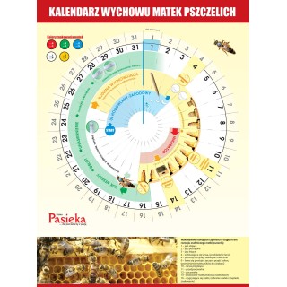 Kalendarz do wychowu matek (1szt) - X1