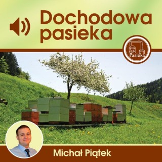Audiobook "Dochodowa Pasieka" (Piątek Michał) K123A