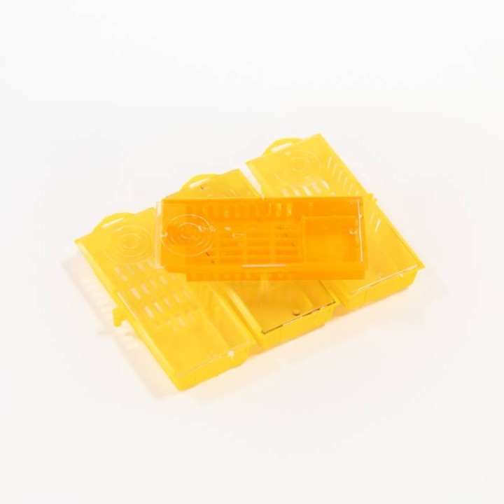 Klateczka wysyłkowa dla matek pszczelich - wzór 3005