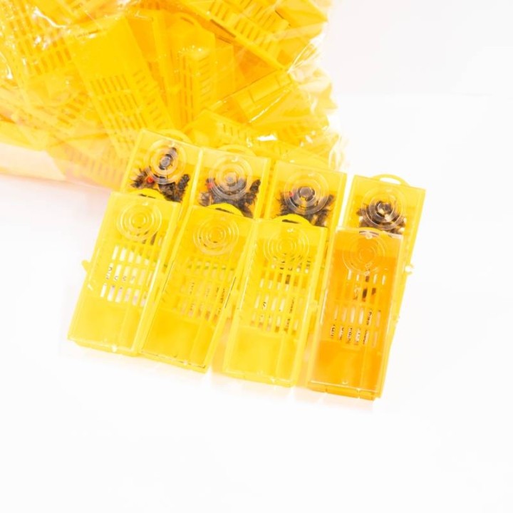 Klateczka wysyłkowa dla matek pszczelich - wzór 3005