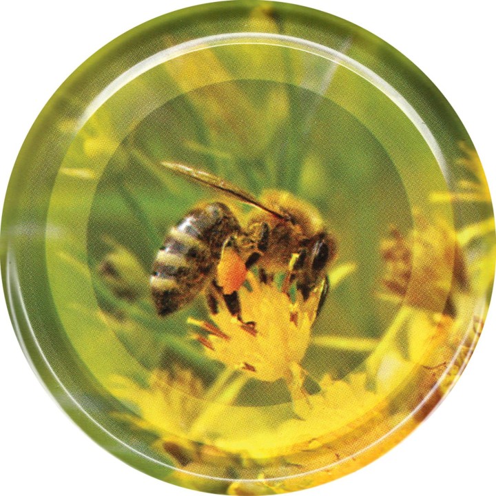 Paczka DUŻYCH nakrętek na słoiki na PYŁEK (10szt) - wzór ND110ZGRZ