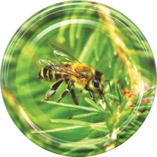 Paczka DUŻYCH nakrętek na słoiki z miodem (10szt) JODŁA / SPADŹ- wzór ND116ZGRZ