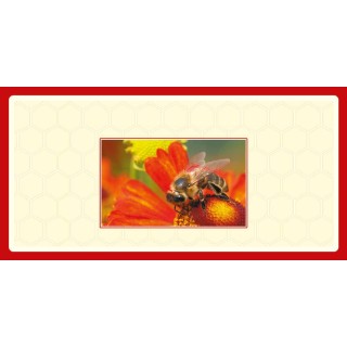 Produkt testowy (TEST25)