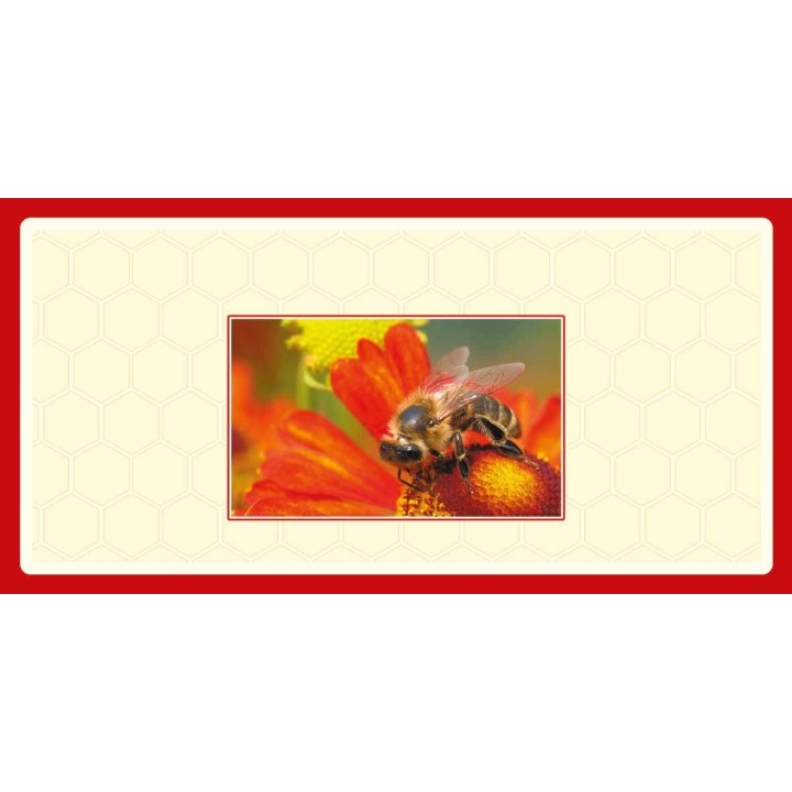 Produkt testowy (TEST25)