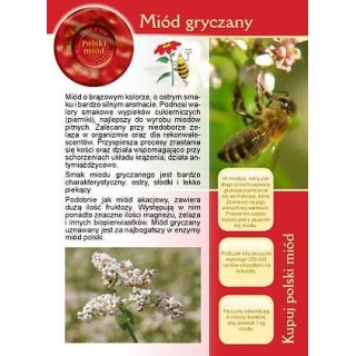 Broszurka informacyjna o miodzie - miód gryczany (20szt) - U4
