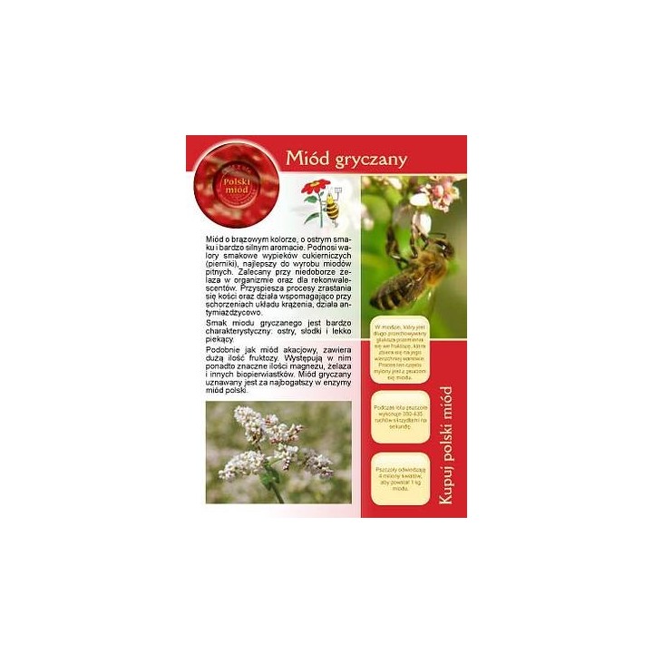 Broszurka informacyjna o miodzie - miód gryczany (20szt) - U4