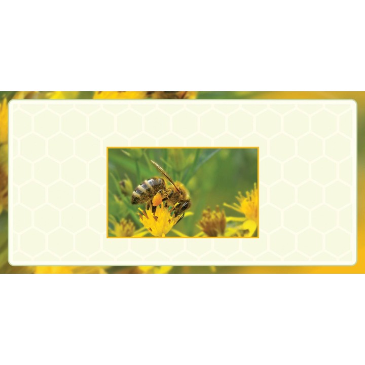 Etykiety na miód z własnym nazwiskiem PERSONALIZOWANE (100 szt) - wzór EN26