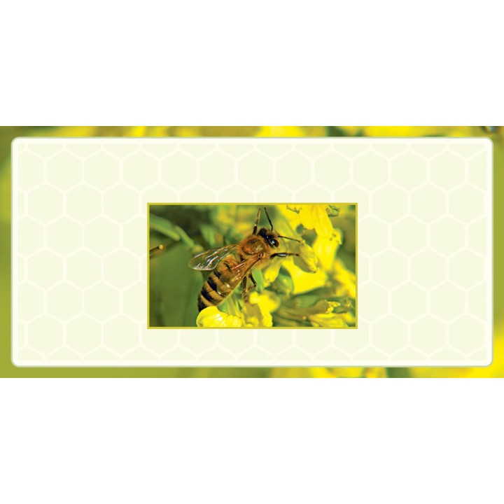 Etykiety na miód z własnym nazwiskiem PERSONALIZOWANE (100 szt) - wzór EN25