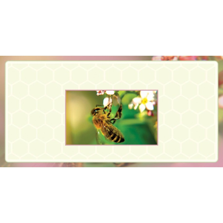 Etykiety na miód z własnym nazwiskiem PERSONALIZOWANE (100 szt) - wzór EN24