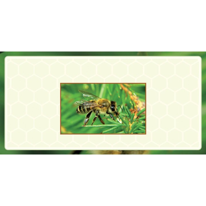 Etykiety na miód z własnym nazwiskiem PERSONALIZOWANE (100 szt) - wzór EN23