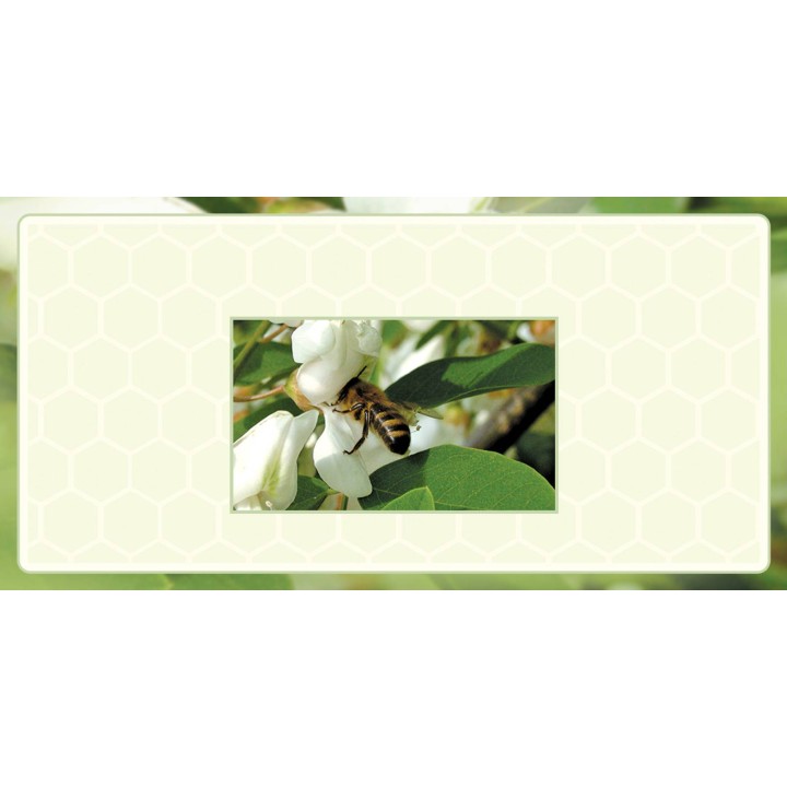 Etykiety na miód z własnym nazwiskiem PERSONALIZOWANE (100 szt) - wzór EN22