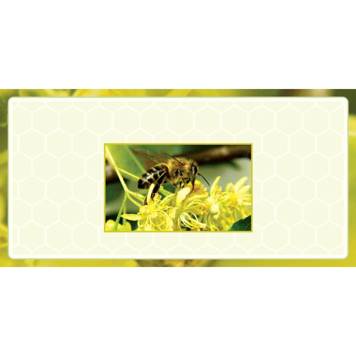 Etykiety na miód z własnym nazwiskiem PERSONALIZOWANE (100 szt) - wzór EN21