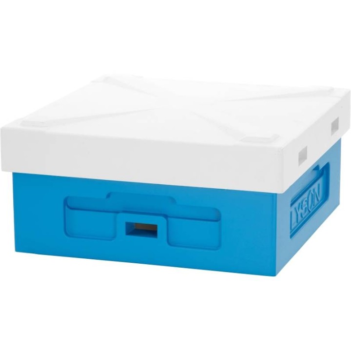 Daszek niski wielkopolski, Ostrowskiej z wentylacją, niemalowany - CLASSIC - W10310C