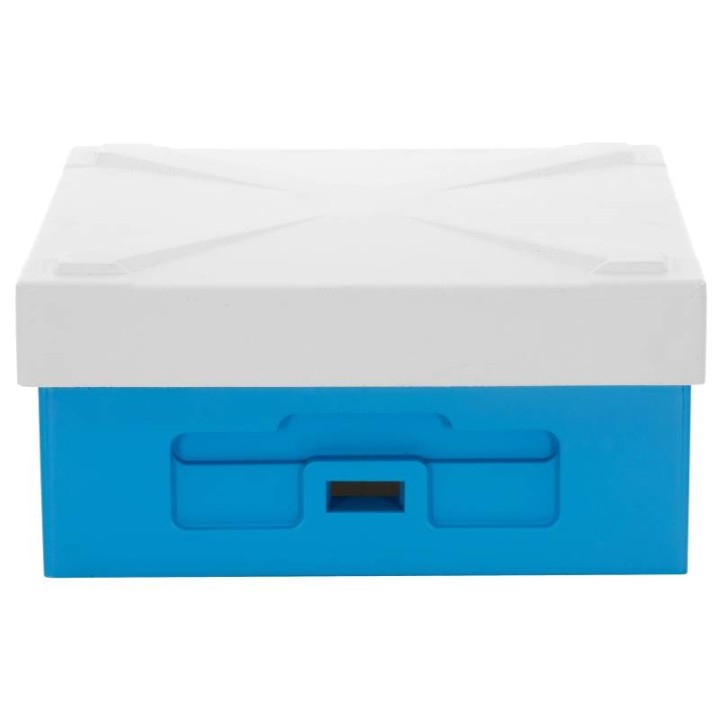 Daszek niski wielkopolski, Ostrowskiej z wentylacją, niemalowany - CLASSIC - W10310C