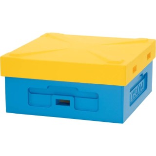 Daszek niski Wielkopolski, Ostrowskiej z wentylacją, malowany (żółty) - CLASSIC - W1031C