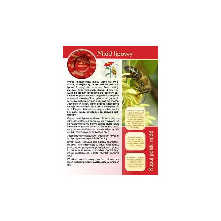 Broszurka informacyjna o miodzie - miód lipowy (20szt) - U5