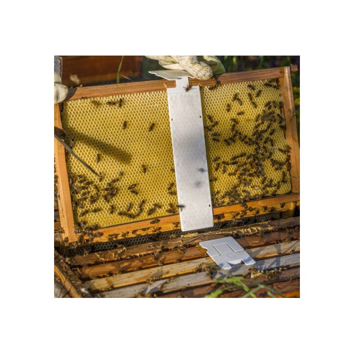 CALISTRIP® BIOX 10 pasków z kwasem szczawiowym - VITA25