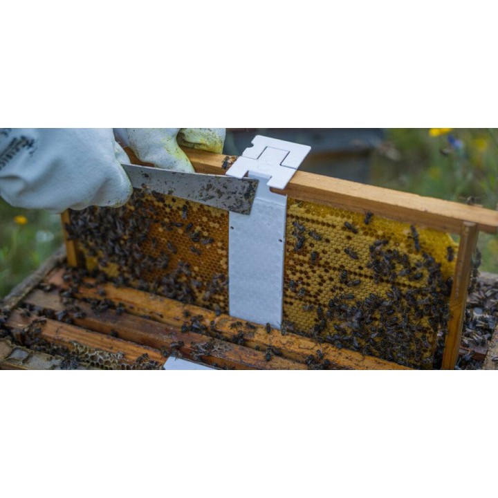 CALISTRIP® BIOX 10 pasków z kwasem szczawiowym - VITA25