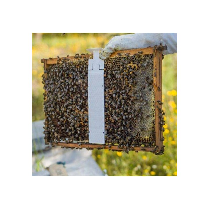 CALISTRIP® BIOX 10 pasków z kwasem szczawiowym - VITA25