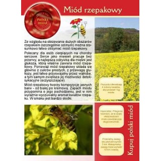 Broszurka informacyjna o miodzie - miód rzepakowy (20szt) - U6