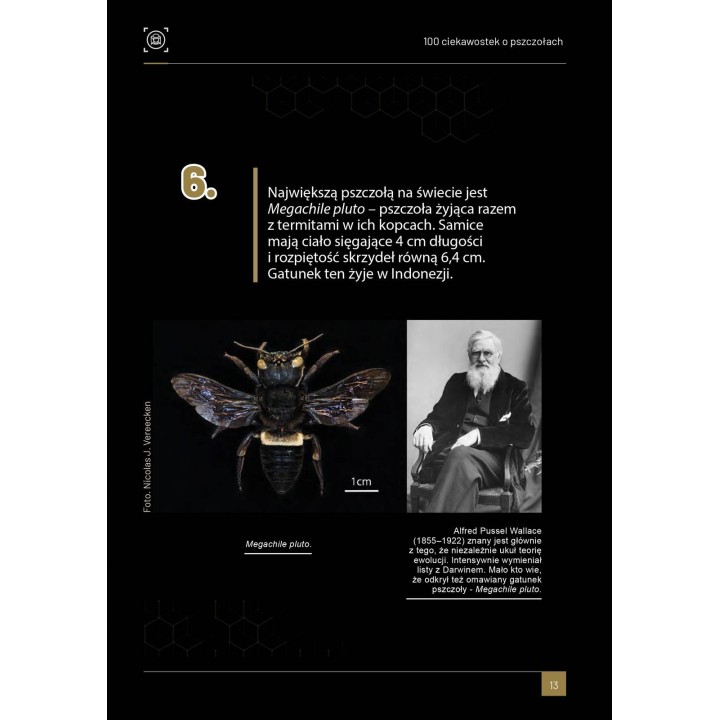 Książka "100 ciekawostek o pszczołach" (M. Walerowicz) - K281
