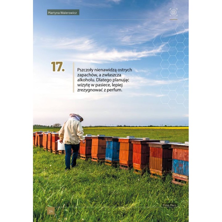 Książka "100 ciekawostek o pszczołach" (M. Walerowicz) - K281