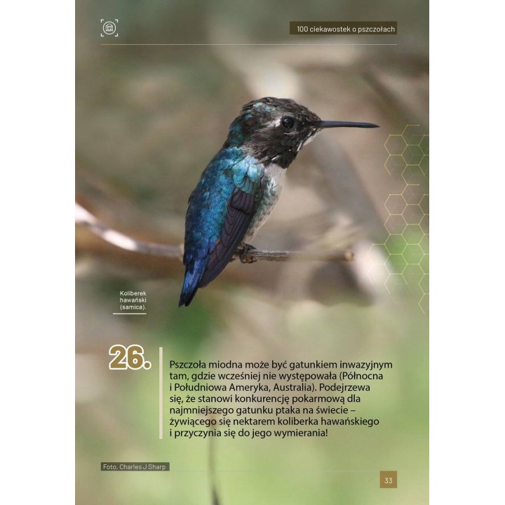 Książka "100 ciekawostek o pszczołach" (M. Walerowicz) - K281