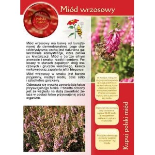 Broszurka informacyjna - miód wrzosowy (20szt) - wzór U8
