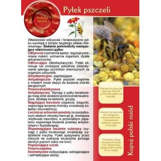 Broszurka informacyjna - pyłek pszczeli (20szt) - U9