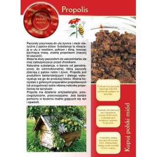 Broszurka informacyjna - propolis (20szt) - U10