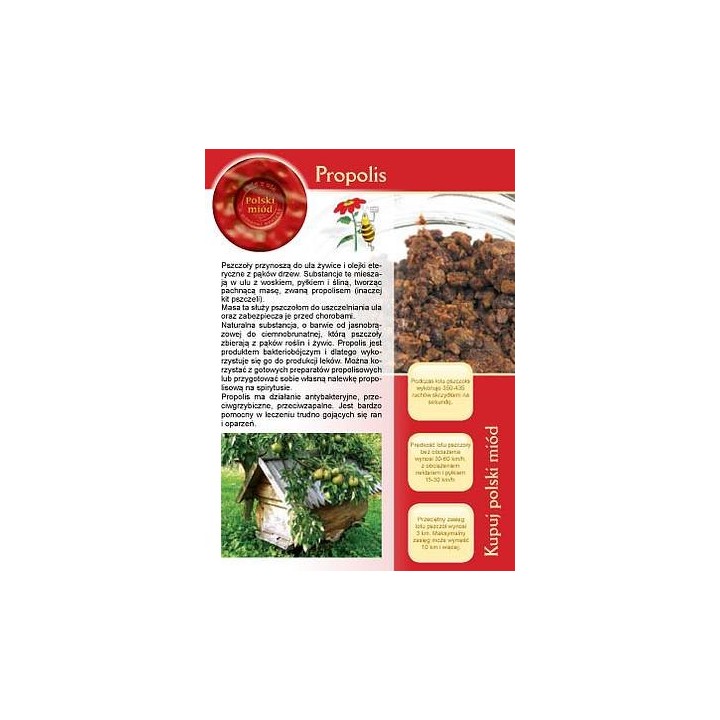 Broszurka informacyjna - propolis (20szt) - U10